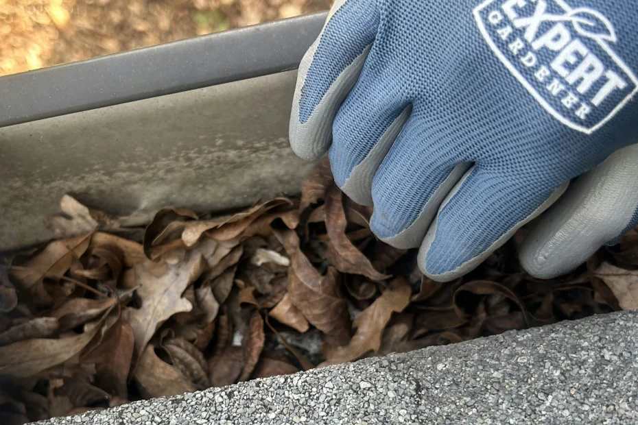 Gutter Cleaning Plain Dealing