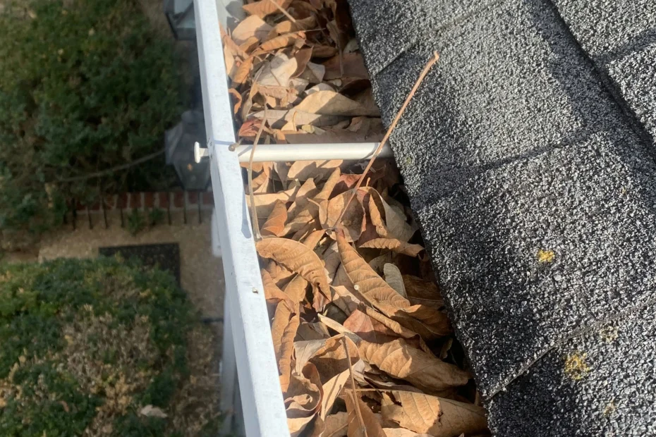 Gutter Cleaning Plain Dealing