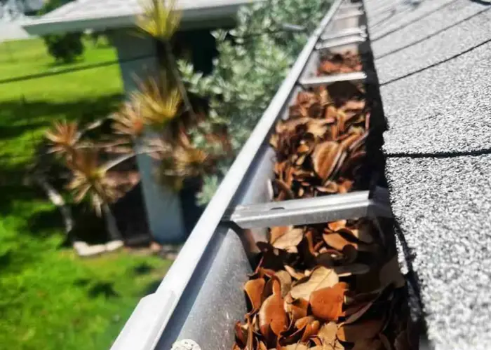 Gutter Cleaning Plain Dealing home page